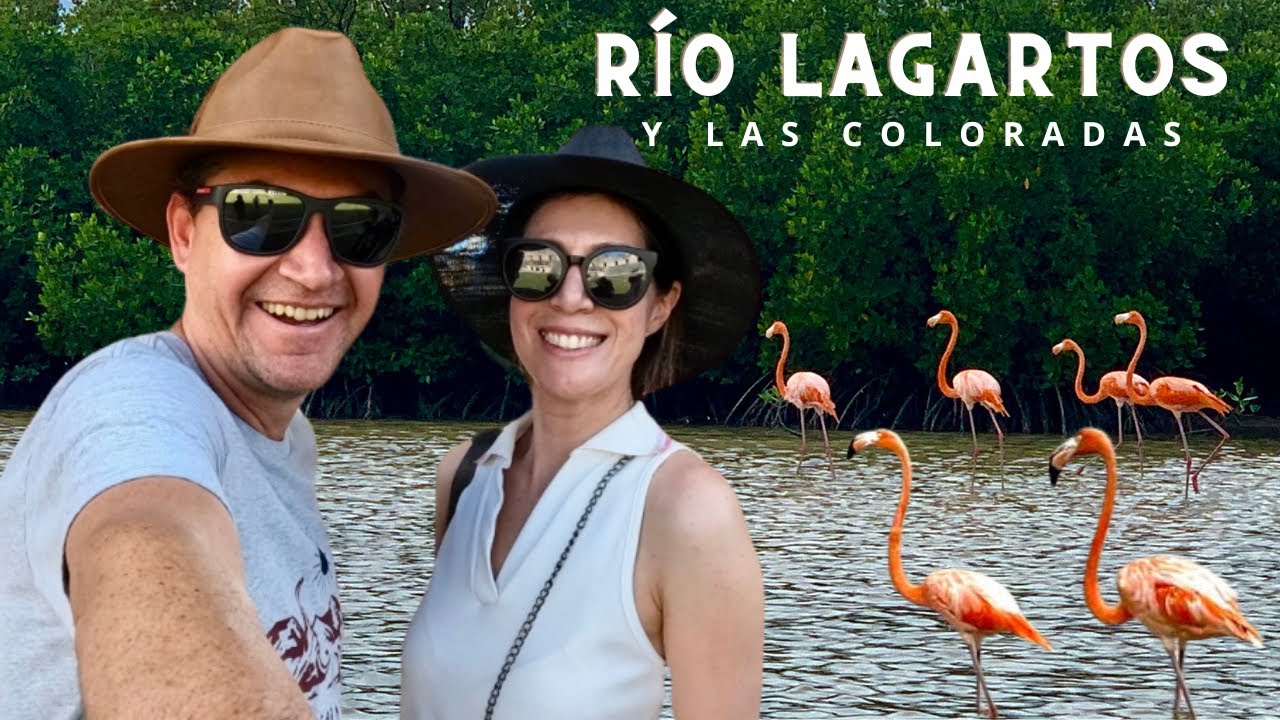 Rio Lagartos y Las Coloradas, Yucatán