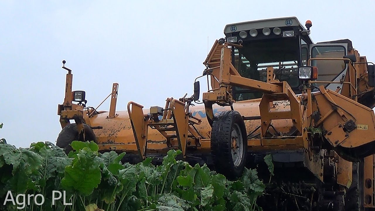 Mokre Kopanie Buraków 2016/Kleine/Massey Ferguson/John Deere/Mazi086/Agro PL