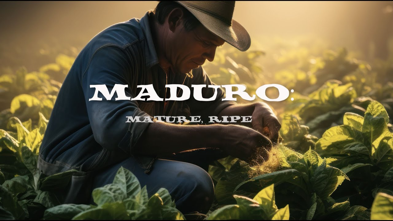 VIDEO SHORT:  What is a MADURO CIGAR?