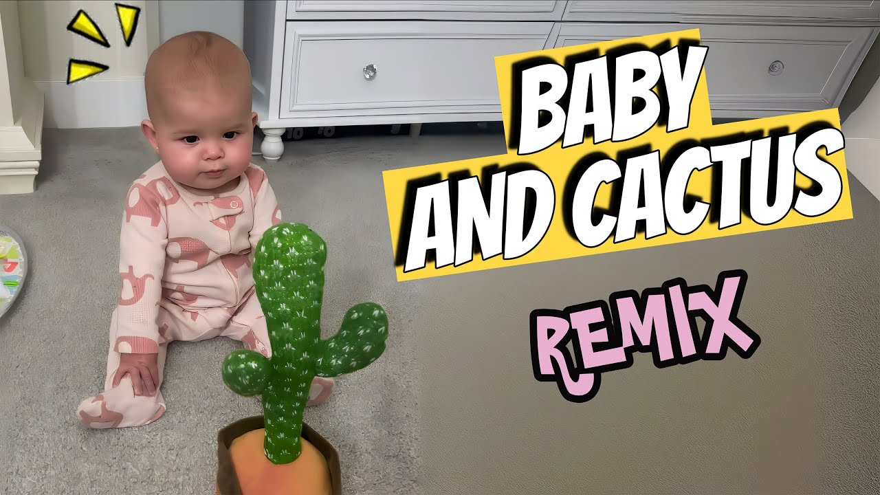 Beb&ecirc; fofo com o brinquedo de cacto - remix com haleynicoleamos