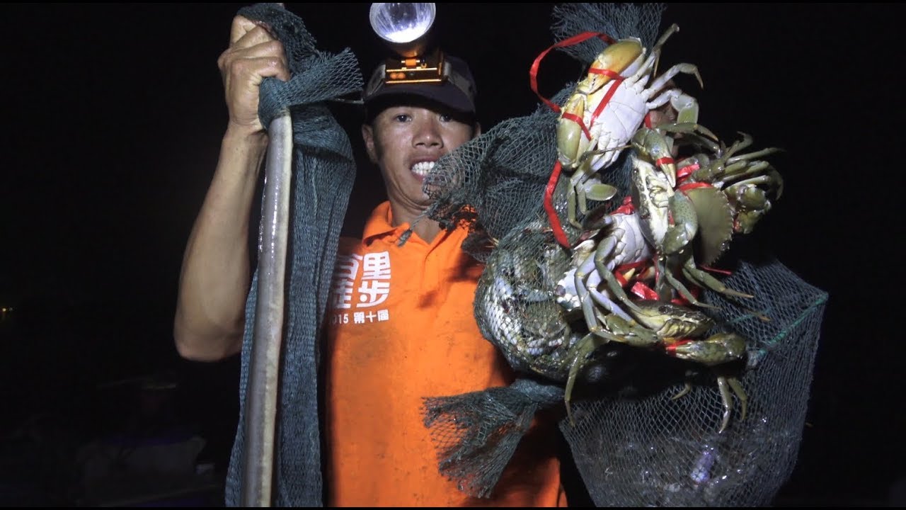 小池赶海踩狗屎运，300一斤海鳗连抓2条，螃蟹半桶，鱼虾蟹十几斤