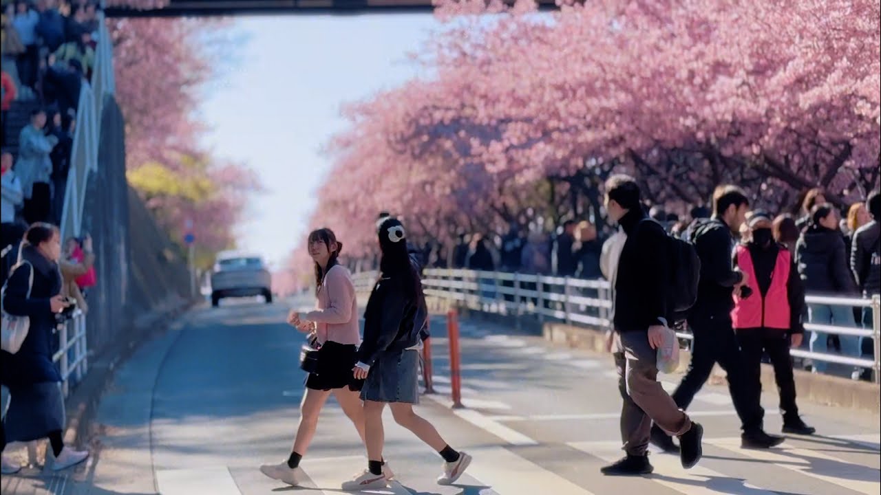A Warm Spring Day