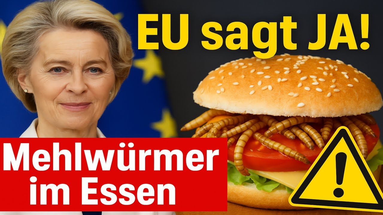 Aldi, Lidl, Rewe und Co: EU erlaubt Mehlw&uuml;rmer im Essen - Diese Produkte sind betroffen!