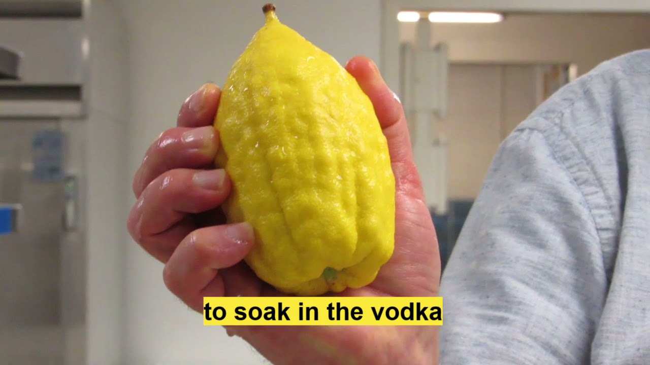 Etrog Vodka Part 1