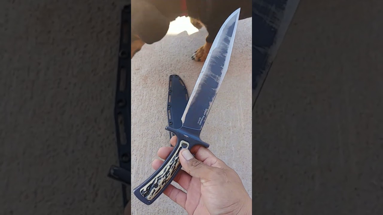 Cold Steel Drop Forged Bowie #mod #regrind #Cold Steel #bowie knife