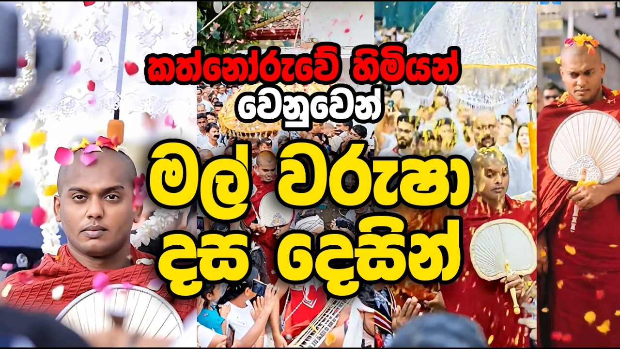 කත්නෝරුවේ හිමියන් වෙනුවෙන් මල් වරුෂා දස දෙසින්| පූජ්‍ය කත්නෝරුවේ සිරිධම්ම හිමි #bana #2026
