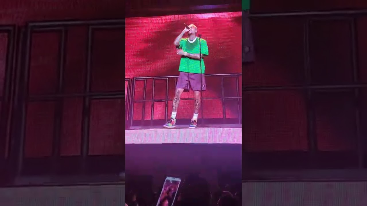 Chris Brown Performance Dallas TX One of them Ones Tour 2022