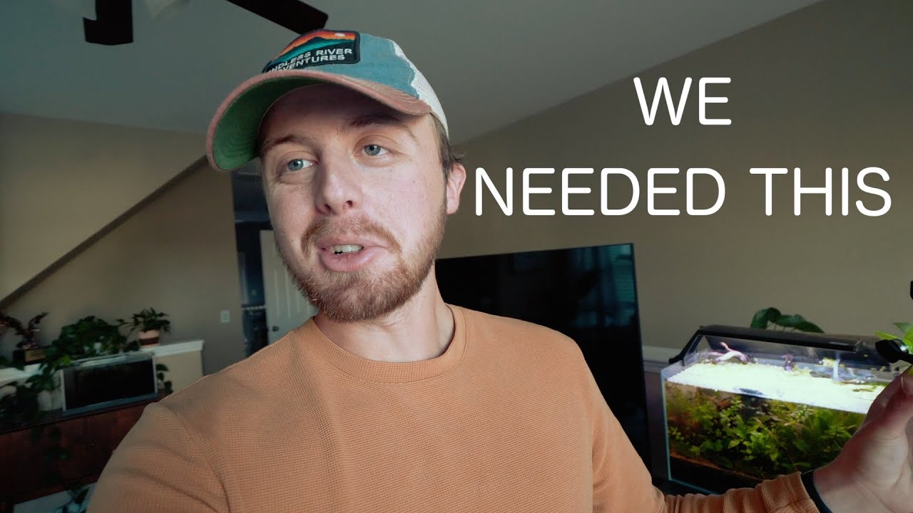Новейший продукт от HDzero... Просто супер!