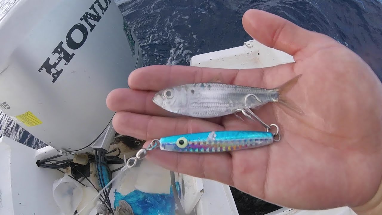 Tuna Fishing with Diamond Jigs, Jetty Fishing San José del Cabo Part 3