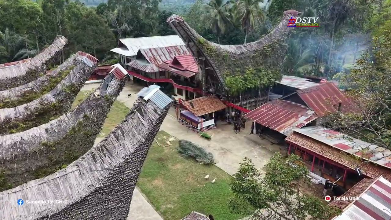 Prosesi adat Aluk Pia Alm. Ne' Datuan di Tongkonan Lebani' Leatung Sangalla' Utara 7 Februari 2026