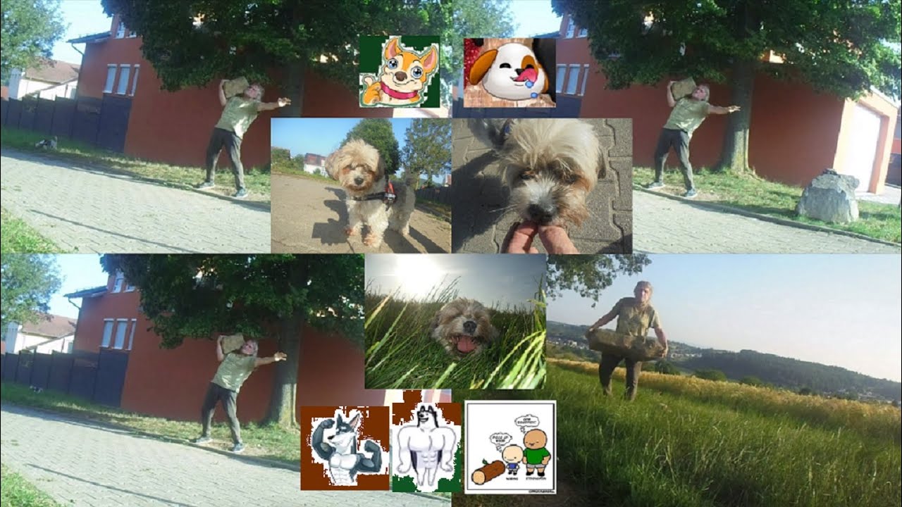 FRIDAY EVENING WALK/Steinheben: c.a. 40 - 50 kg Stein schultern/Farmers Walk 50 kg plus👍🏻💪🏻😊🐶🪨🌾🌳🍐🌄