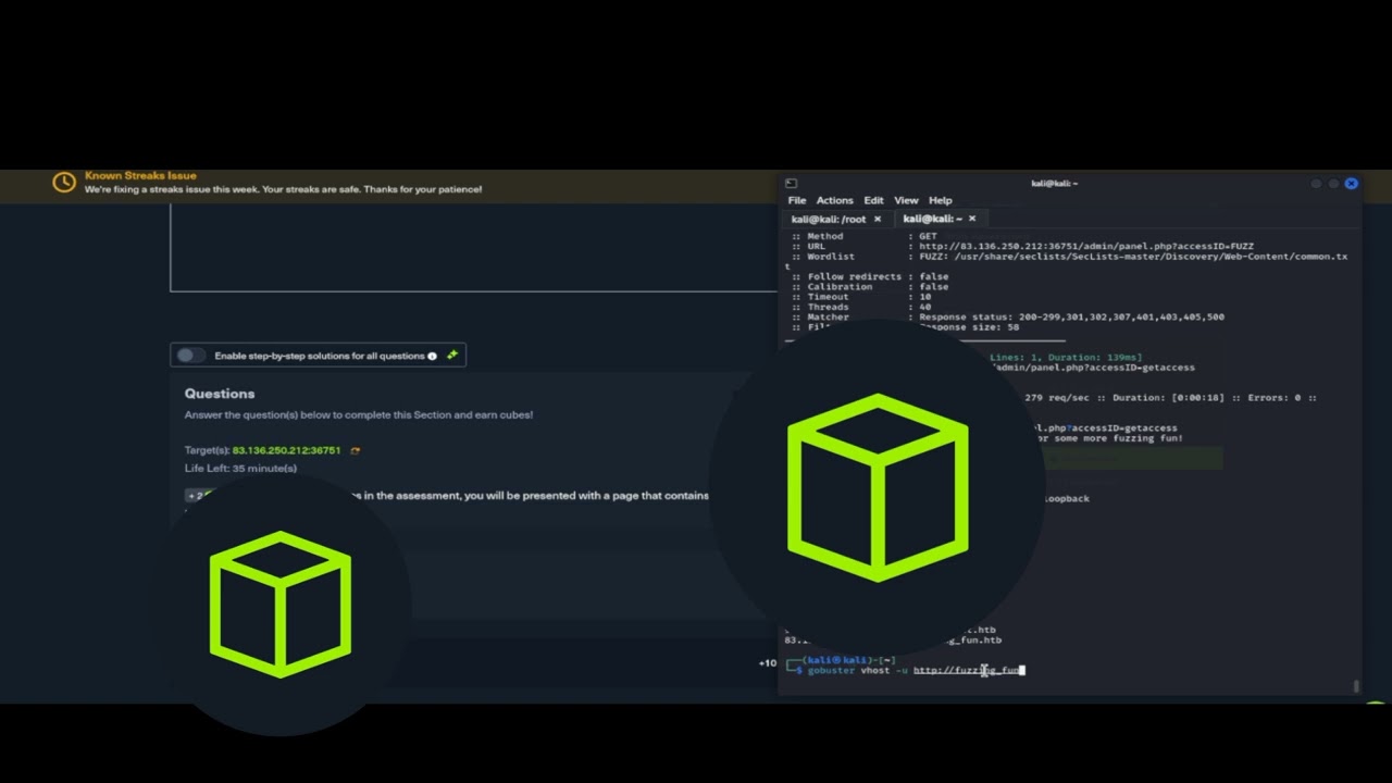 Web Fuzzing Skill Assessment -HTB