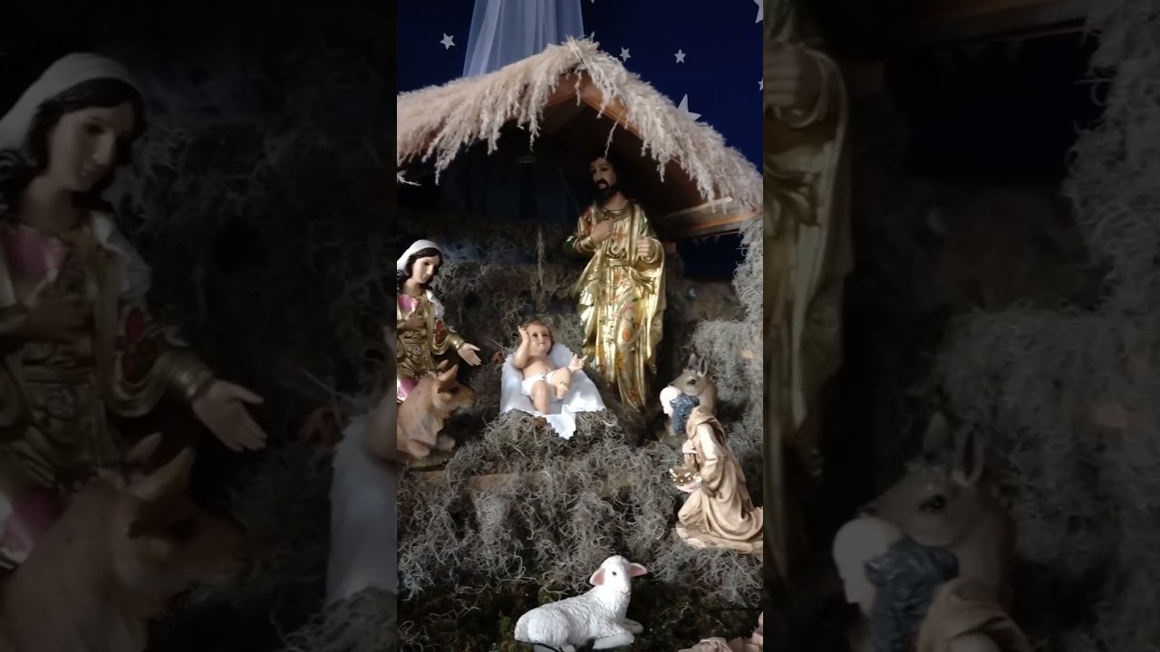 La visita de nacimientos navide&ntilde;os contin&uacute;a...