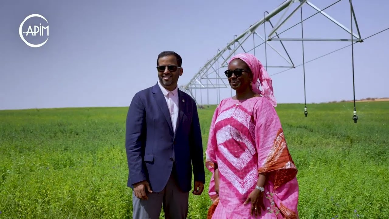 Investment Opportunities in Mauritania | Agriculture, Energy, Mining & More