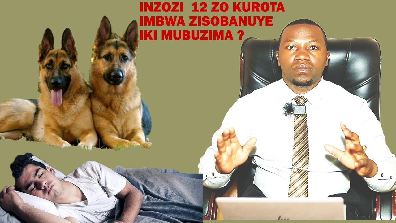 INZOZI 12  ZO KUROTA IMBWA NICYO BIBA BIKUMENYESHA MUMWUKA N'UMUBIRI