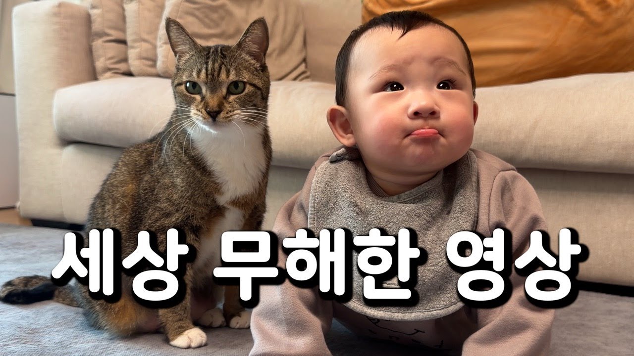 얘는 또 누구야?