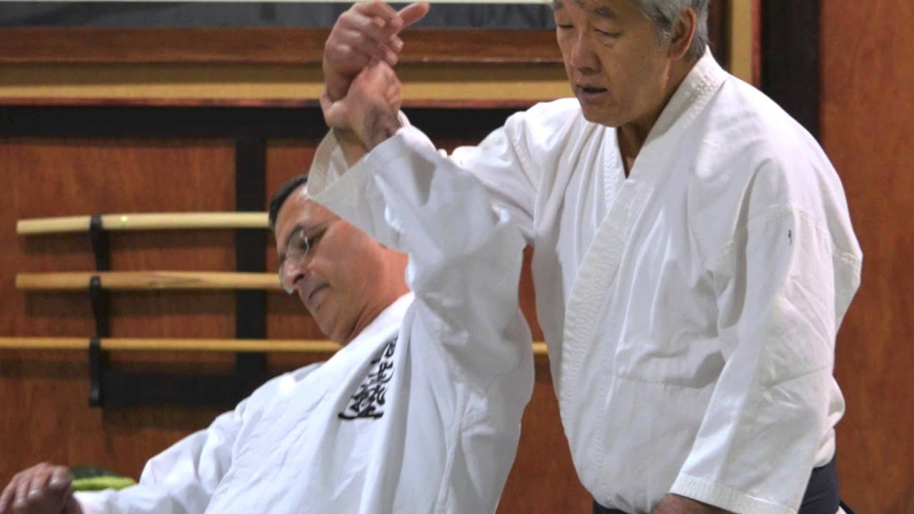Ikeda Shihan Seminar Preview 2014