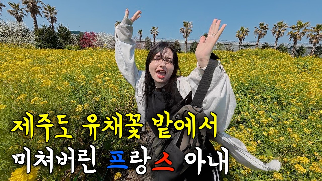 난생 처음 봄맞이로 제주도 유채꽃 밭에 갔다 충격 받고 미쳐버린 프랑스 아내 ㅋㅋ