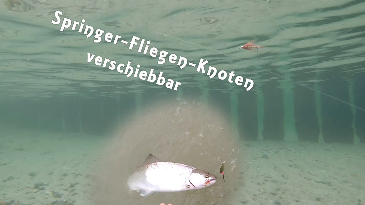 Der verschiebbare Springer Fliegen Knoten - Knotenkunde Teil 1
