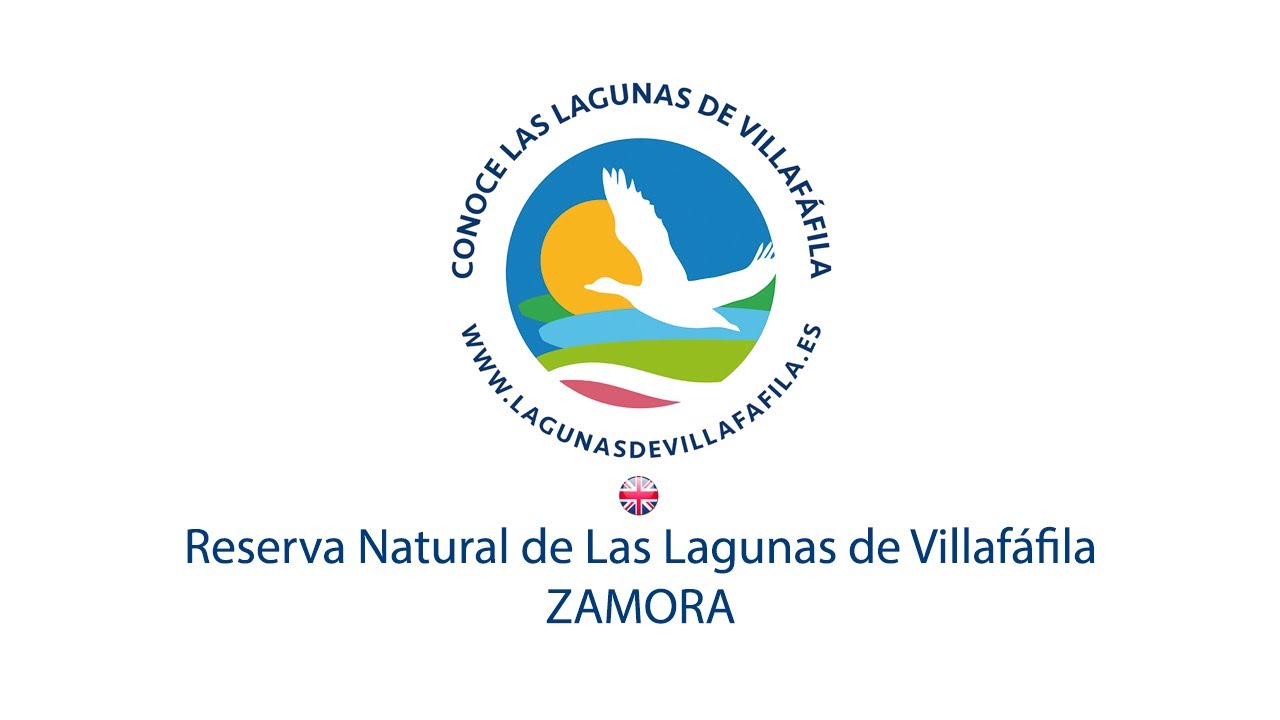 Lagunas de Villafáfila (Zamora) - Reserva Natural de las Lagunas de Villafáfila