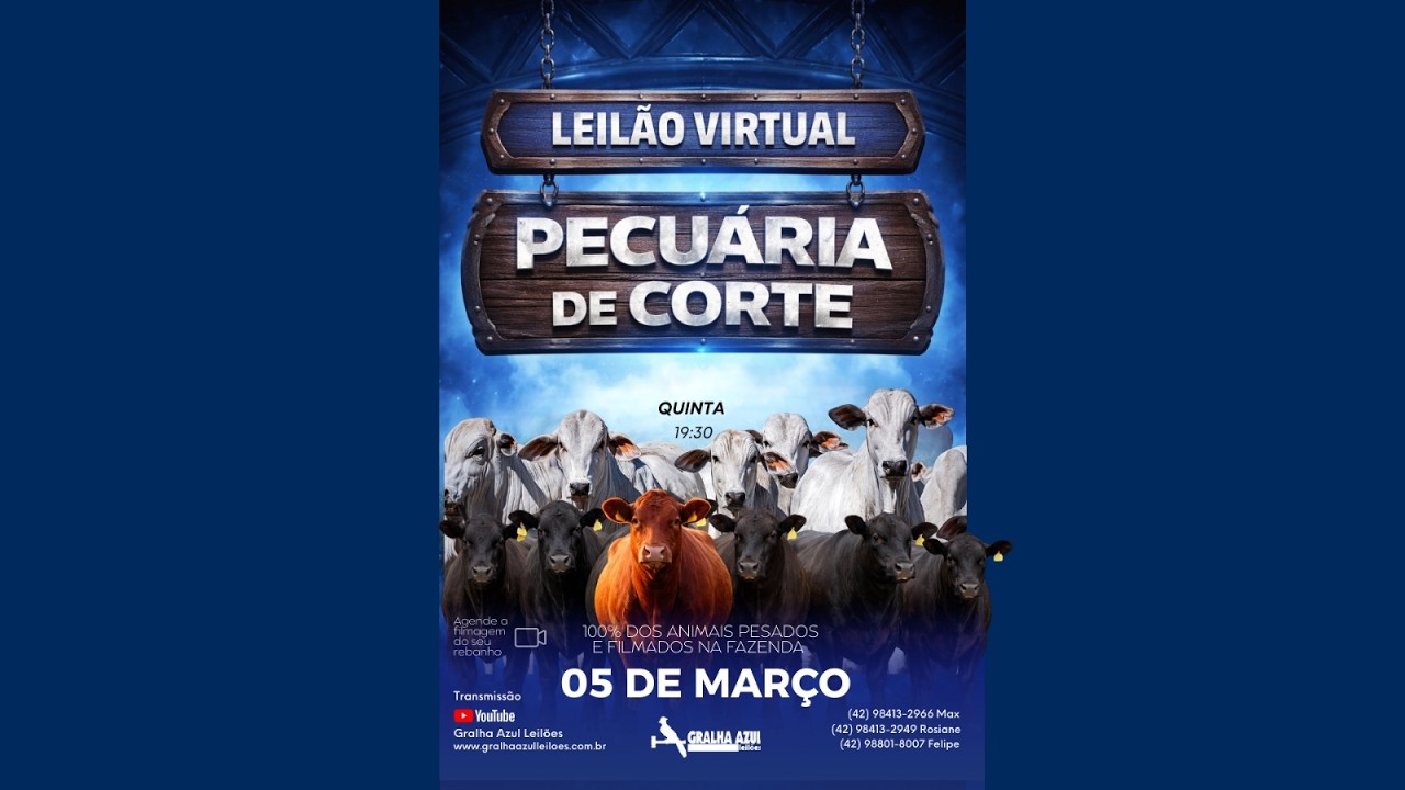 LEILÃO VIRTUAL - PECUÁRIA DE CORTE - 20:00H