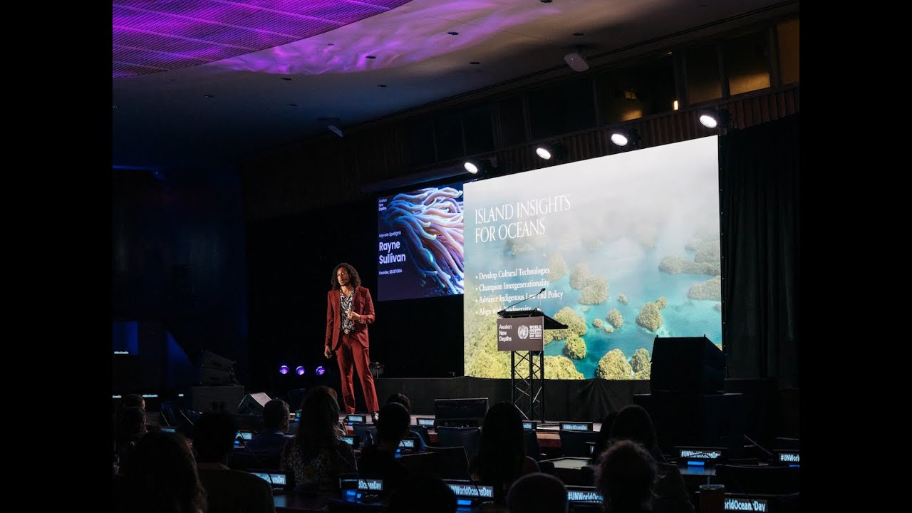New Depths Spotlights - UN World Oceans Day 2024
