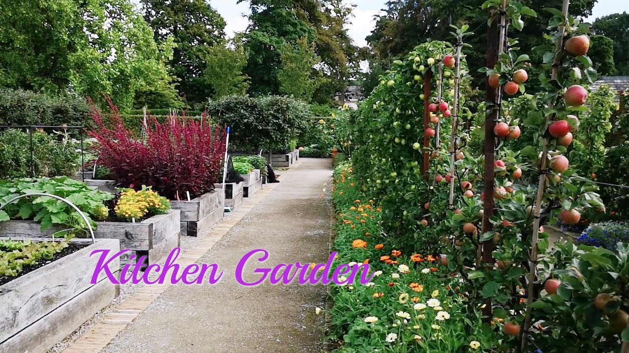 【廚房花園】| 羅丁公園 | 北約克郡 Kitchen Garden | Pudding Park | North Yorkshire
