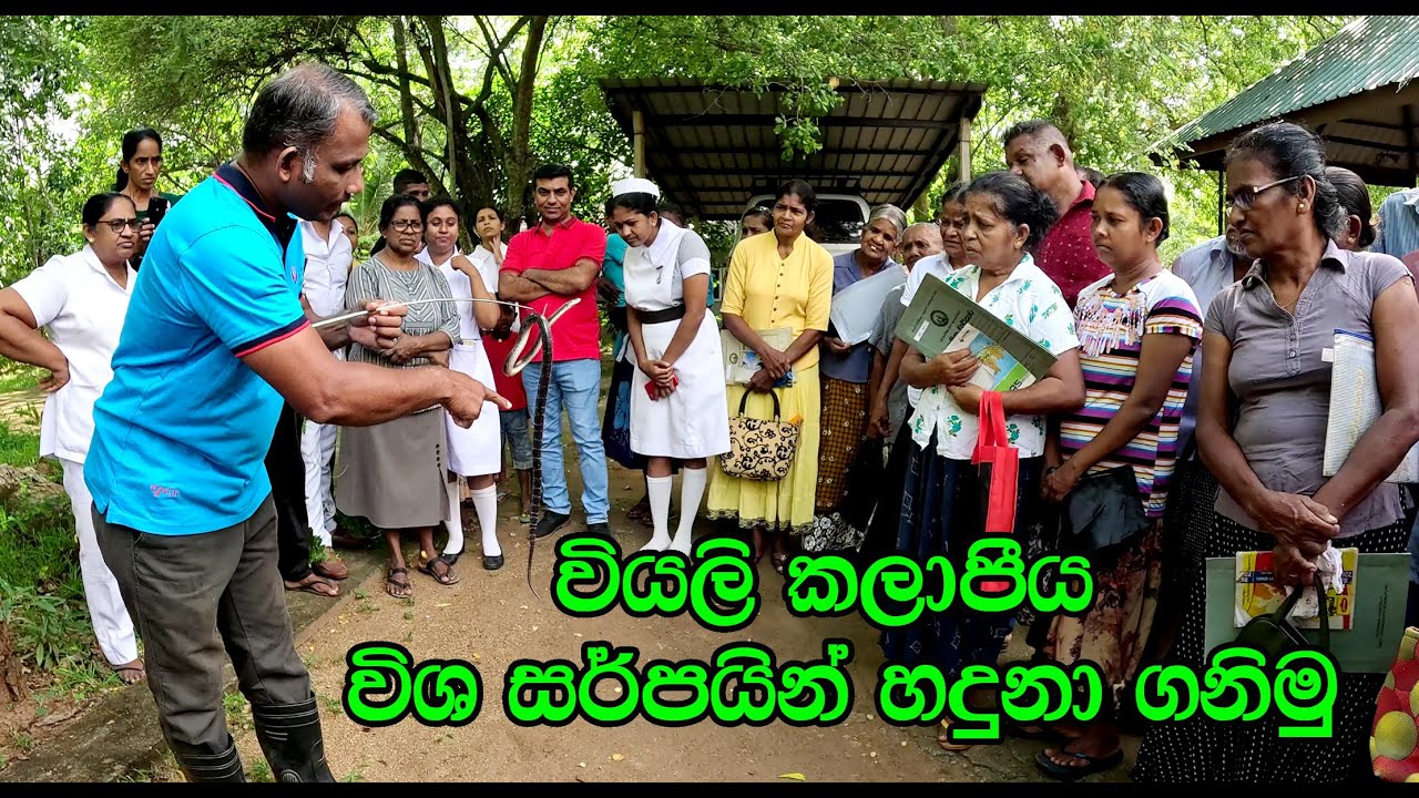 Let's identify the venomous snakes of the dry zone ( වියලි කලාපයේ විශ සරපයින් හදුනා ගනිමු )