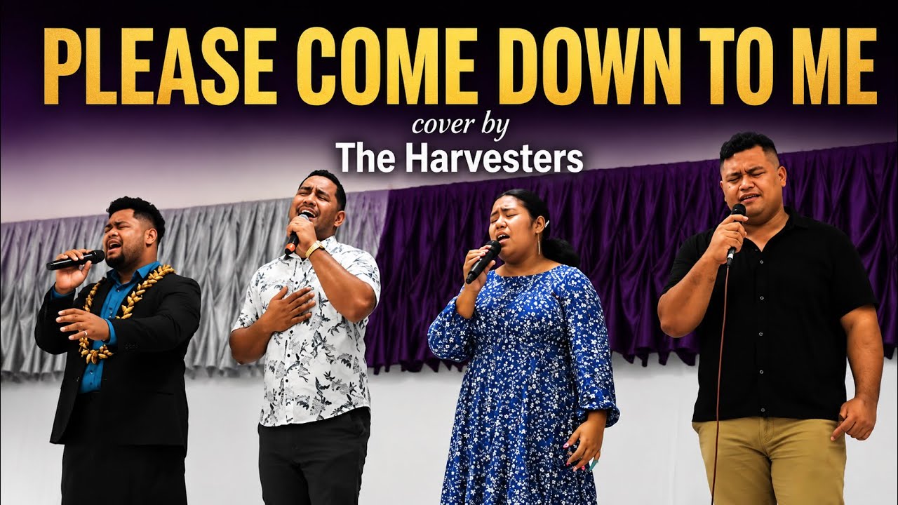 The Harvesters - Please come down to me (Official Music Video)