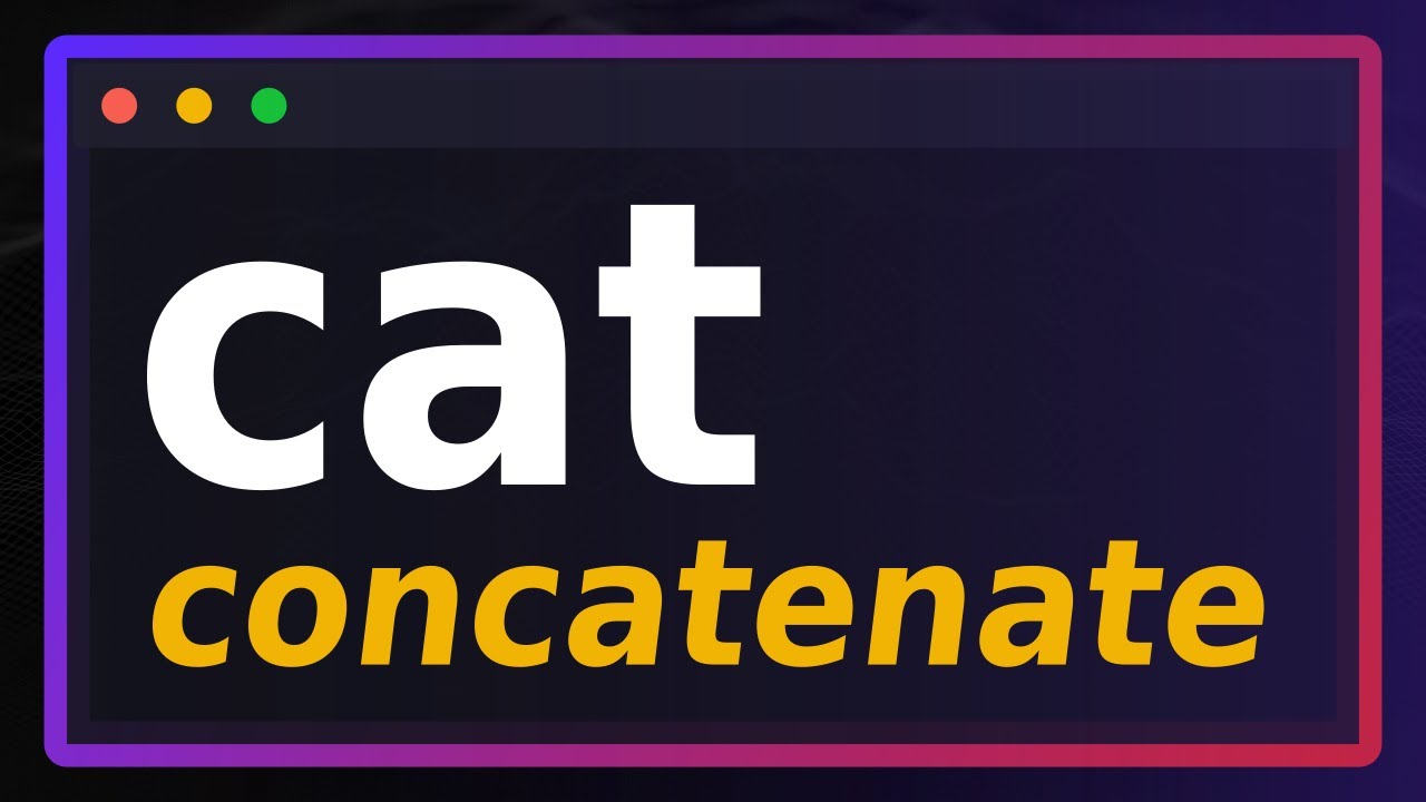 CAT Command In Linux - NOT Another Cat Video 🐱
