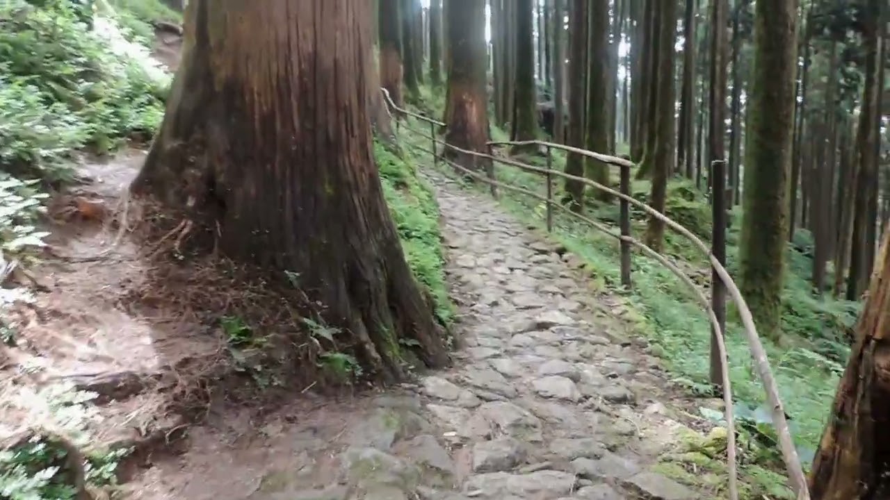 Lamahatta Eco Park // Trek to reach the sacred pond.