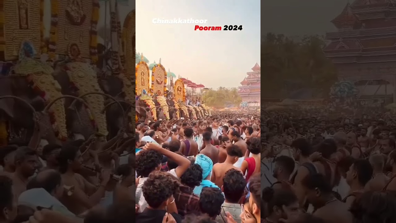 Chinakkathoor Pooram 2024 | ചിനക്കത്തൂർ പൂരം 2024 #elephant #elephantfestival