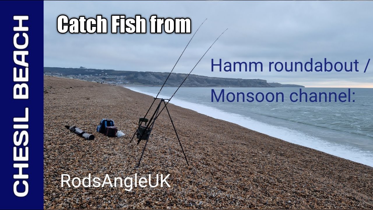 Catch Fish from Chesil Beach: CHECKPOINT