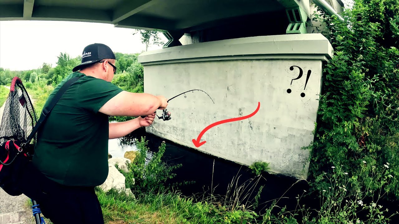 Ce micro COURS D'EAU réserve de GROS POISSONS !