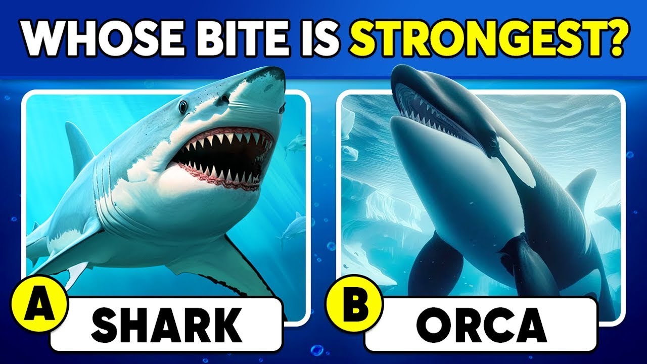 How Good Is Your Knowledge of WILD ANIMALS? ✅🐳🐬 General Knowledge Trivia Quiz | Riddlo Verse