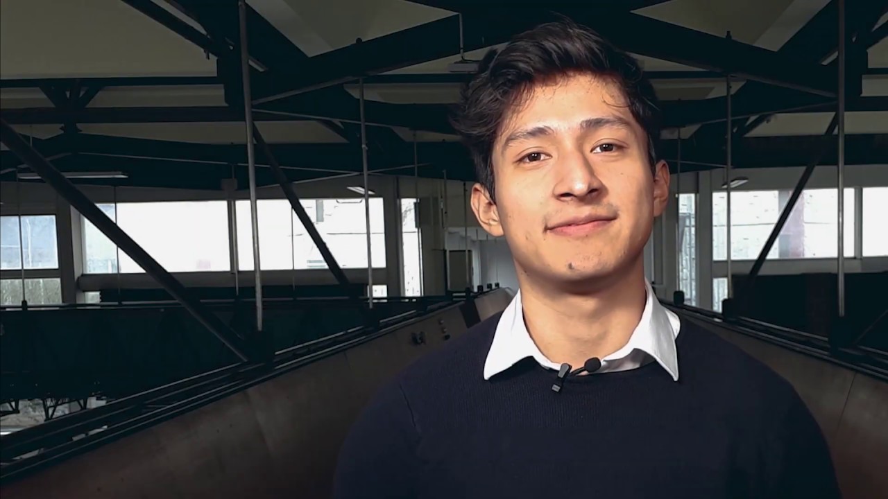 Capstone Project - Harold Canchari