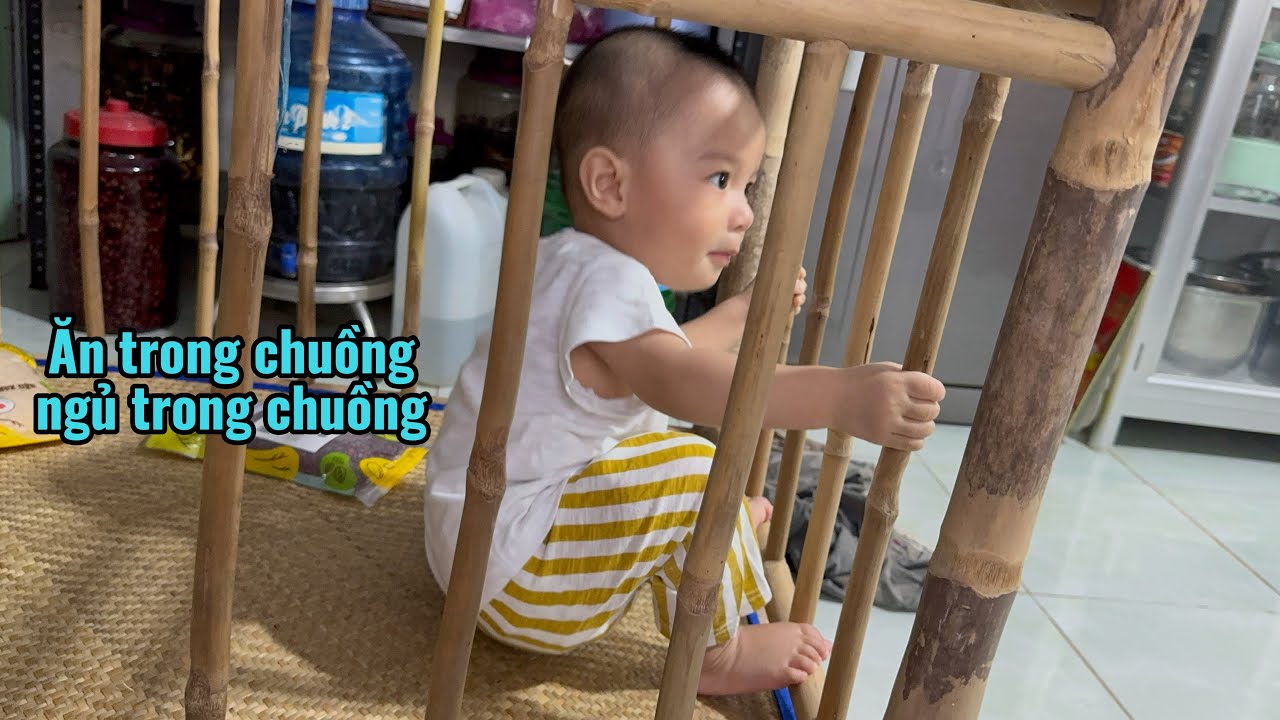 NGHÉ NÀY KHÔNG ĐI CÀY NGHÉ NÀY CHỈ Ở TRONG CHUỒNG THÔI ÔNG BÀ CÔ BÁC ƠI