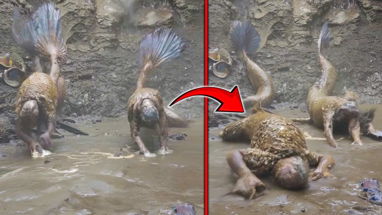 No One Believed They Existed Until They Were Filmed- Strangest Encounters Ever Caught On Camera!