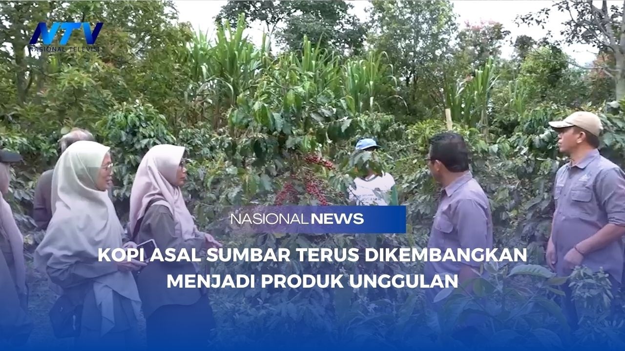 KOPI ASAL SUMBAR TERUS DIKEMBANGKAN MENJADI PRODUK UNGGULAN
