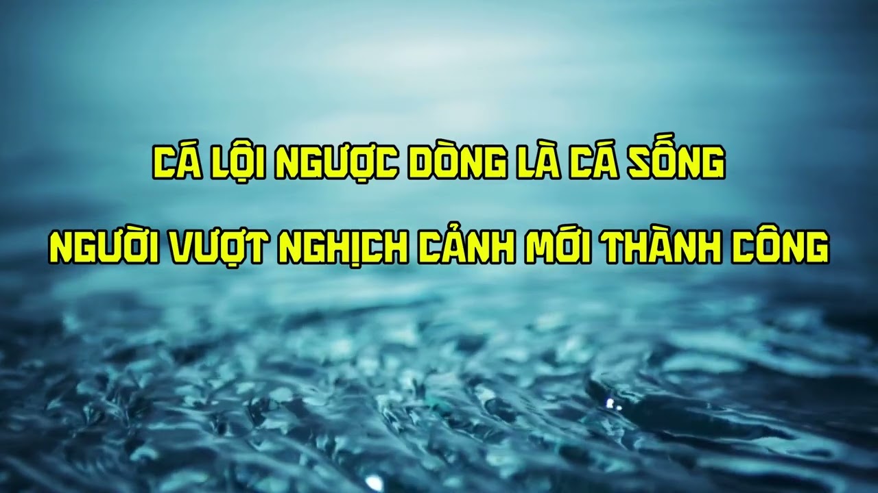 NGÀY 4 /CÁ LỘI NGƯỢC DÒNG - BÍ QUYẾT SỐNG BẢN LĨNH VÀ VƯƠN LÊN