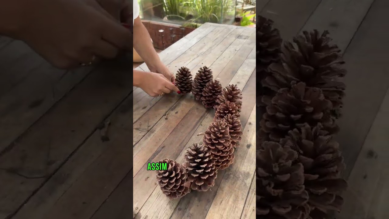 Criando Arranjo com Rosas Vermelhas e Pinhas para uma Mesa Posta.