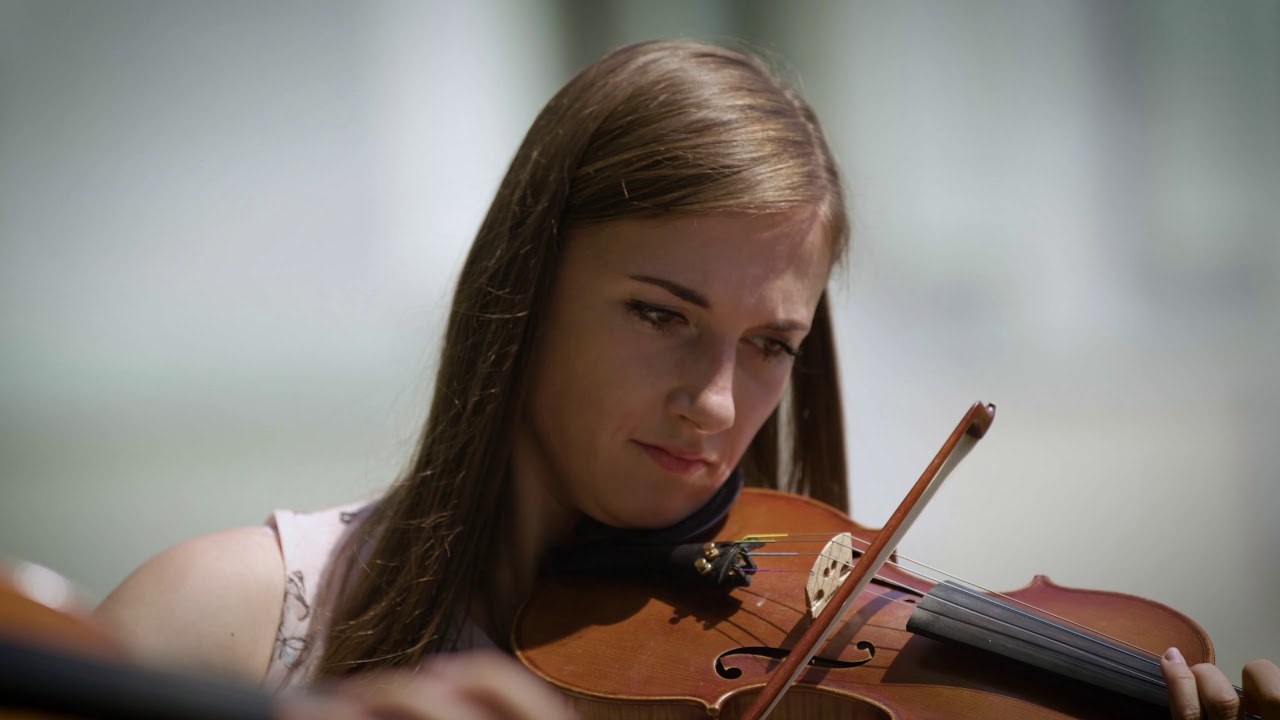 Sl&aacute;čikov&eacute; kvarteto ART