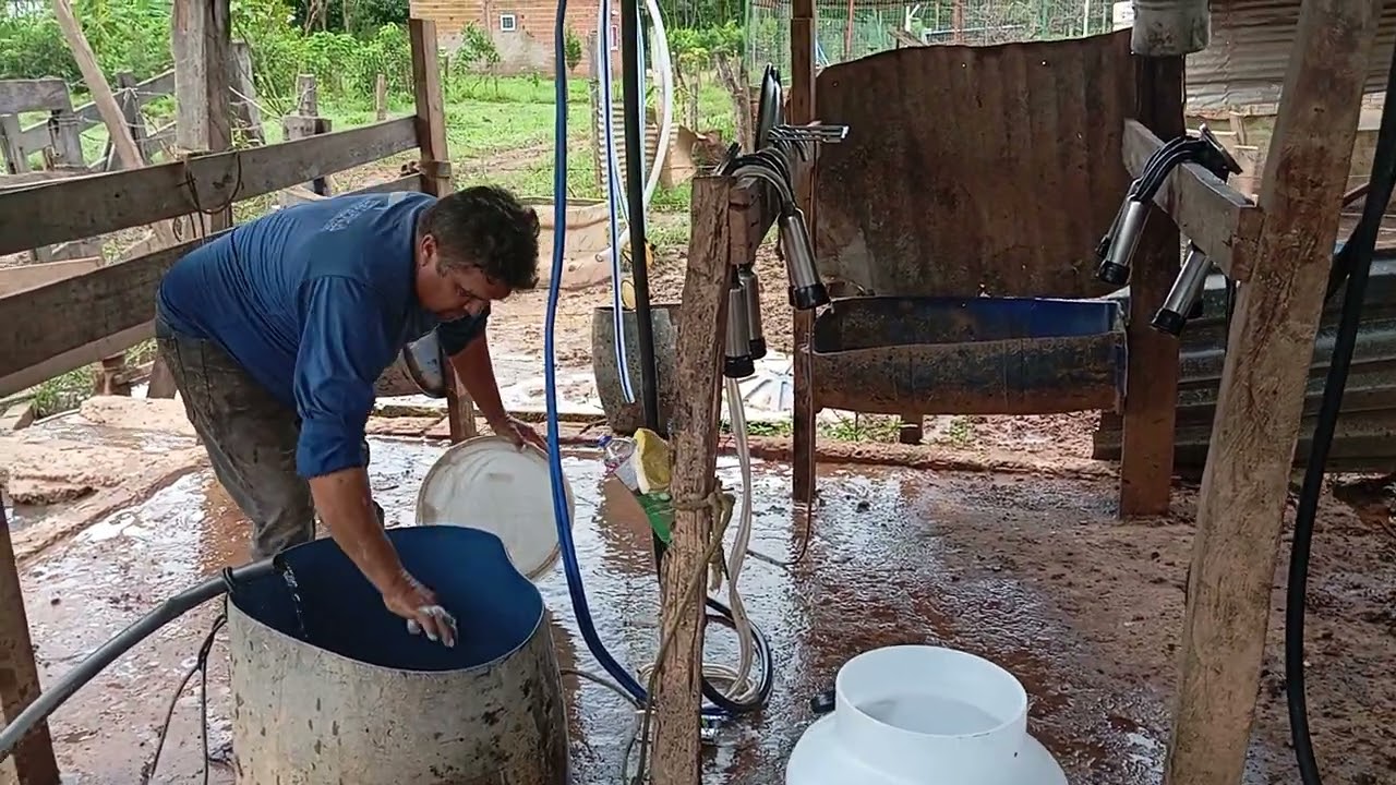 Vamos fazer a limpeza lava ordenha que o serviço nem acaba nem fica pouco #ordenha #vodanaroça
