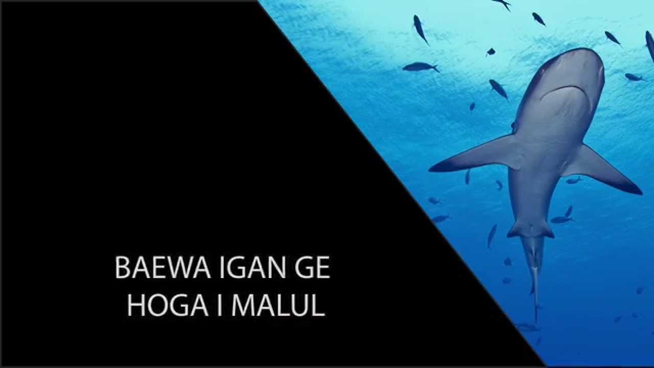 Misima Shark Fin Video Papua New Guinea Intro