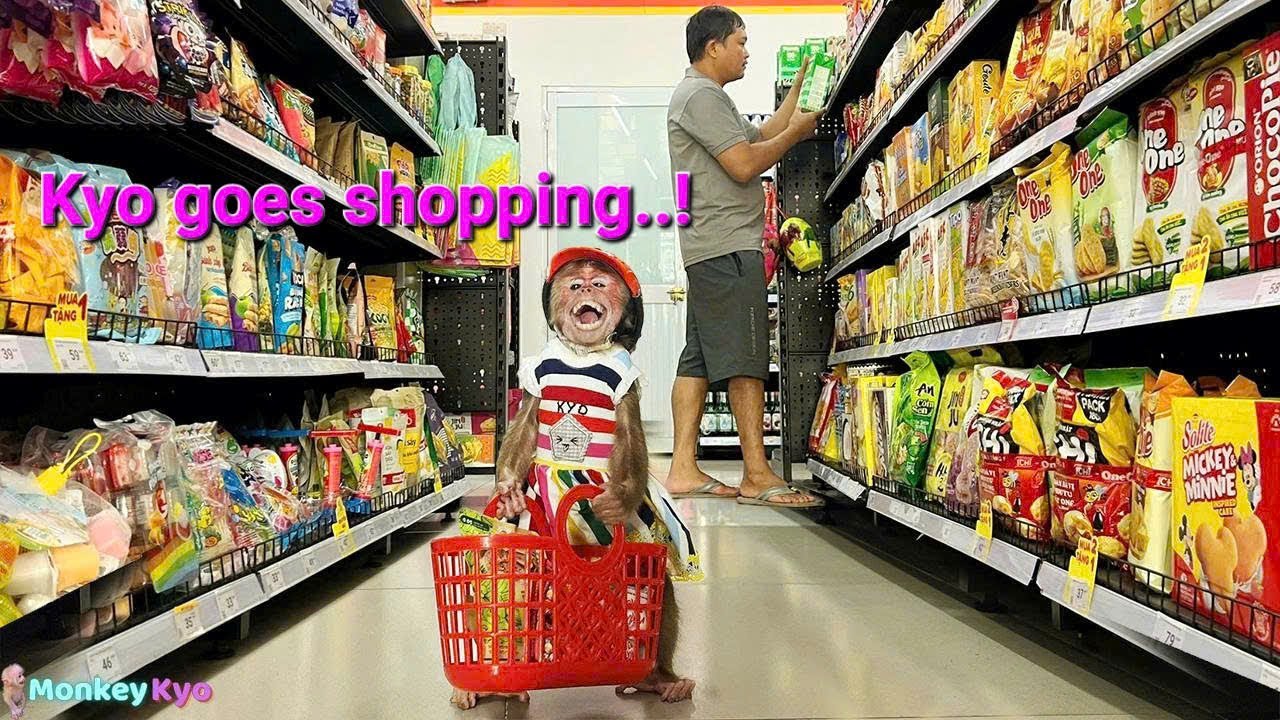 Monkey Kyo is excited to go shopping at the supermarket with her Dad!