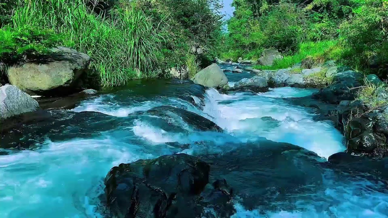 Mountain Stream Water Flow Audio, Forest River, Sleep