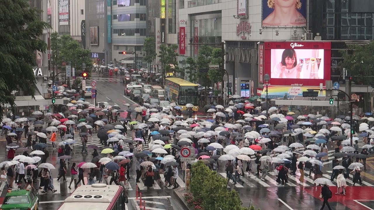Exploring Tokyo City By Train! | Local Foods, Shopping & Visiting Tokyo's Oldest Temple