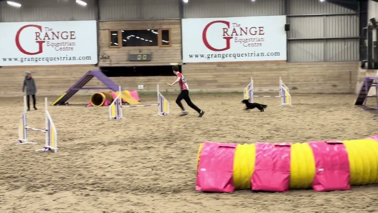 Will & Brave - KST Show Dec 2025 Clear round 1st place
