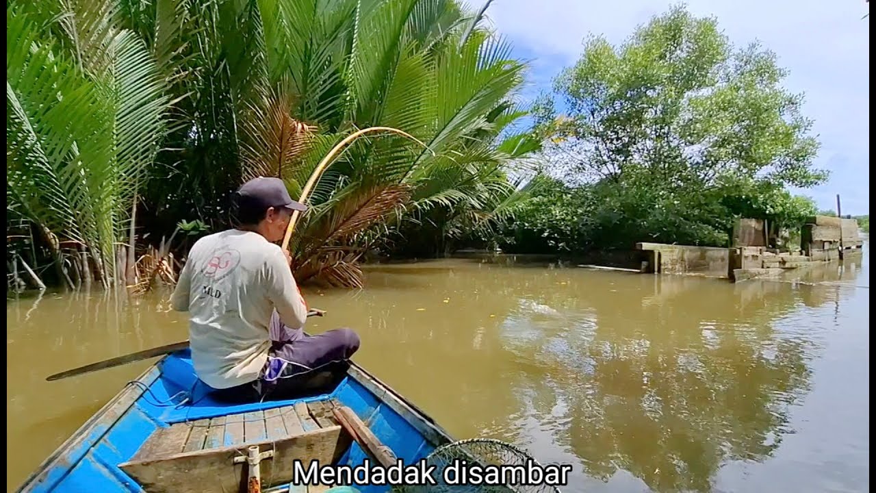 Tambak jebol penyelamat hari ini untuk mendapatkan ikan