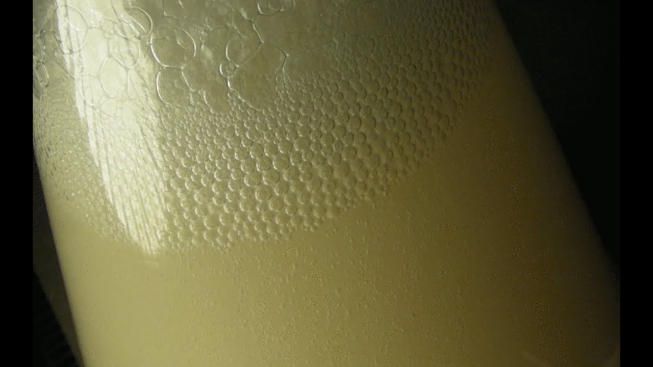 Die Herstellung von Ethanol (Making ethanol)